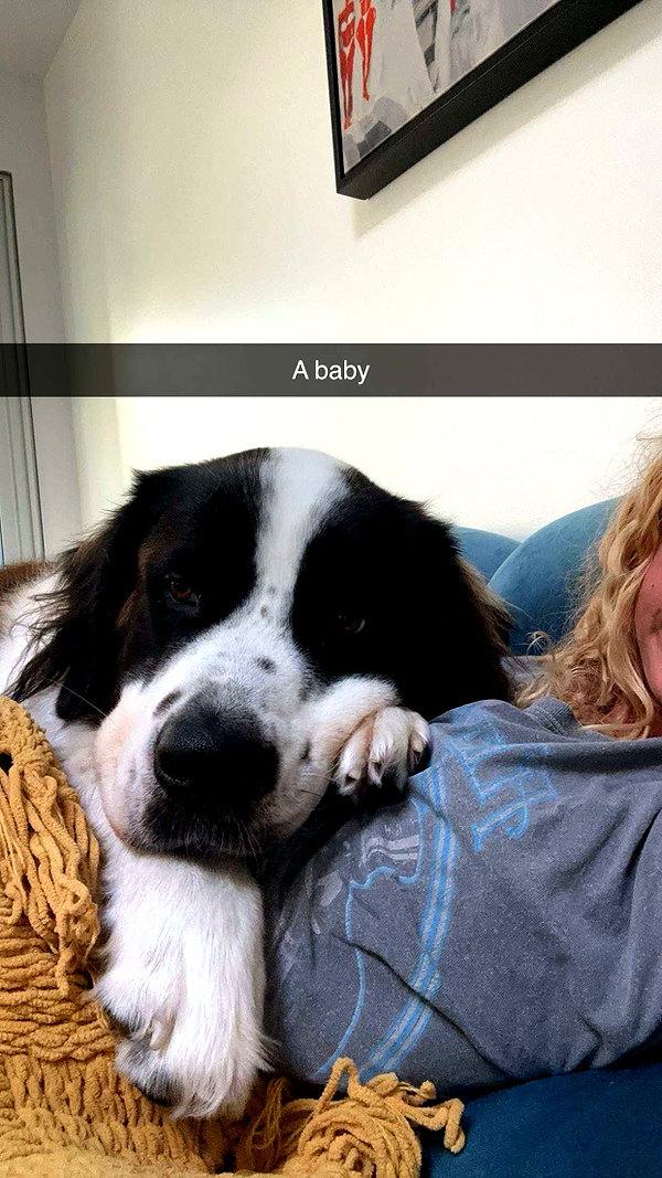 cclaire.bbear1 snapchat image archive image