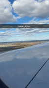 cclaire.bbear1 Altpins Profile Picture