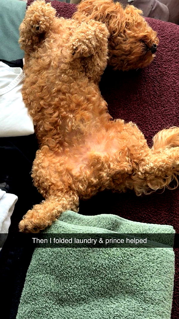 cclaire.bbear1 snapchat image archive image