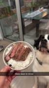 cclaire.bbear1 Altpins Profile Picture
