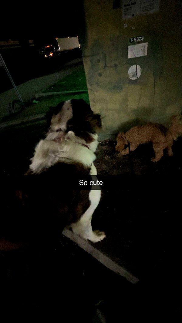 cclaire.bbear1 snapchat image archive image