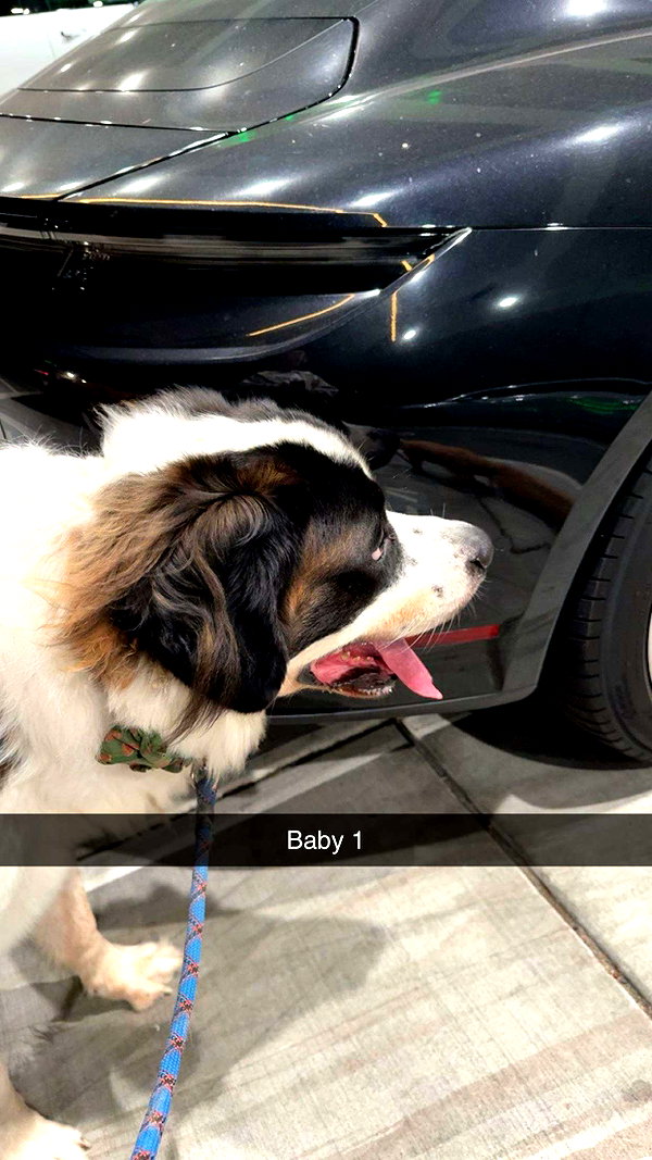 cclaire.bbear1 snapchat image archive image