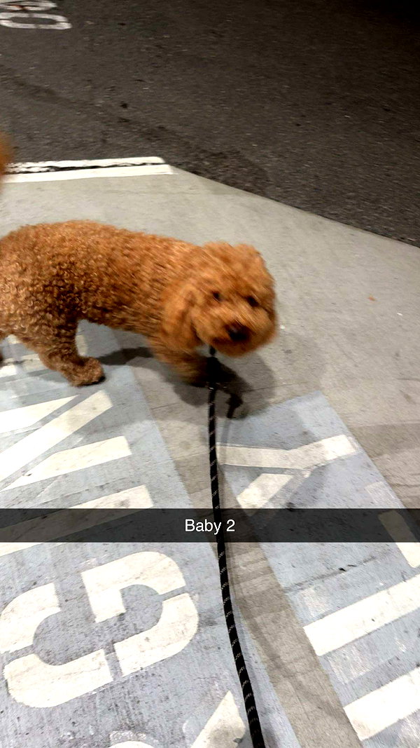 cclaire.bbear1 snapchat image archive image