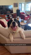 cclaire.bbear1 Altpins Profile Picture