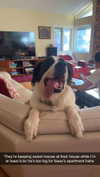 cclaire.bbear1 Altpins Profile Picture