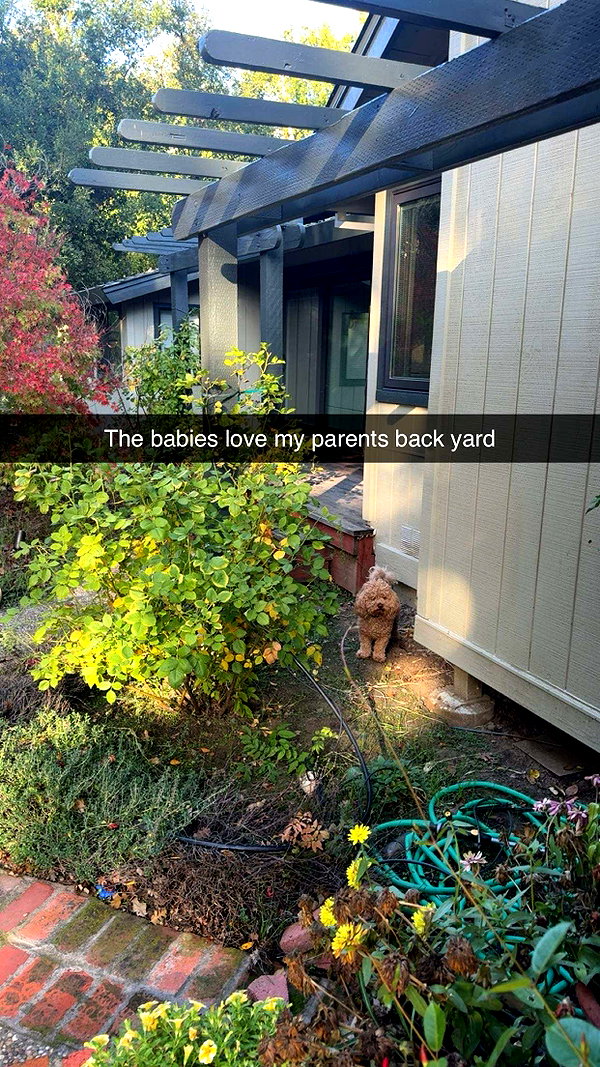 cclaire.bbear1 snapchat image archive image
