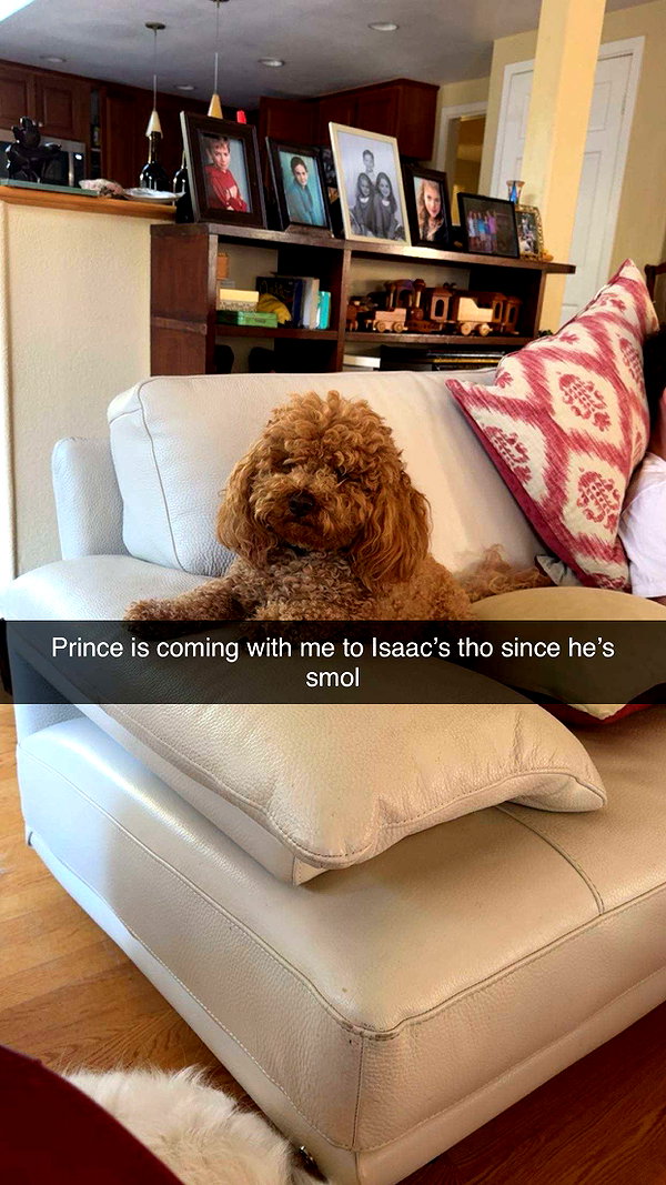 cclaire.bbear1 snapchat image archive image