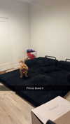 cclaire.bbear1 Altpins Profile Picture