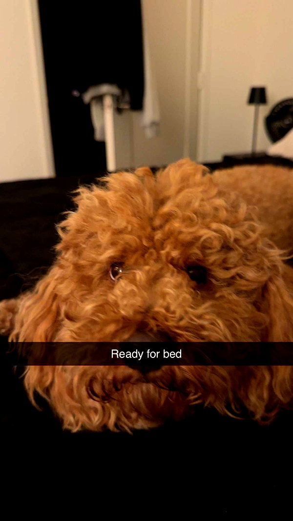 cclaire.bbear1 snapchat image archive image