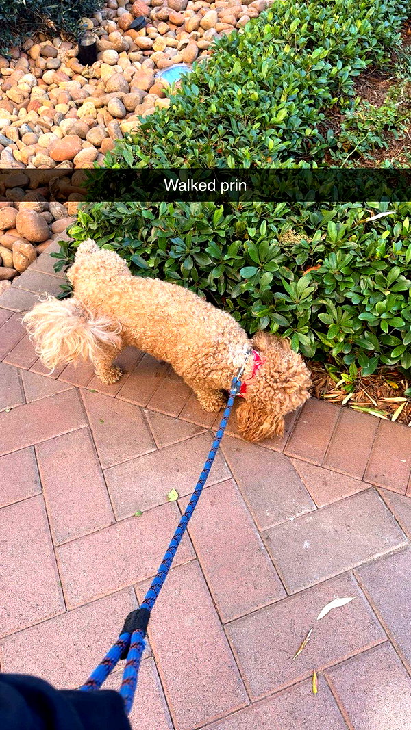 cclaire.bbear1 snapchat image archive image