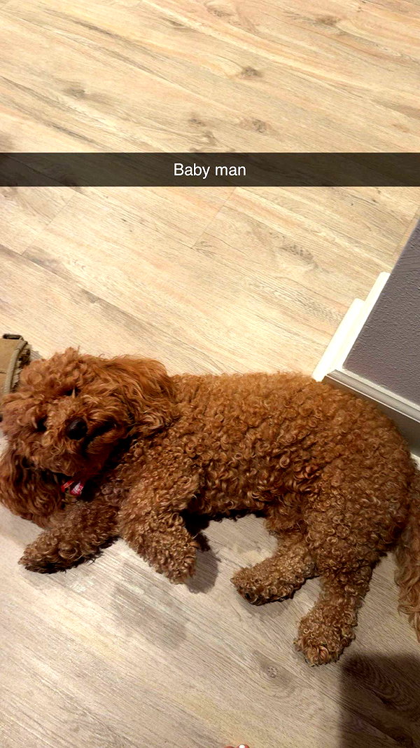 cclaire.bbear1 snapchat image archive image