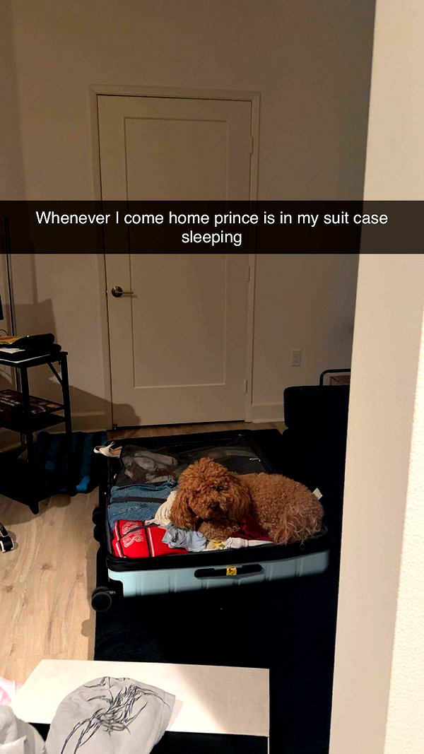 cclaire.bbear1 snapchat image archive image