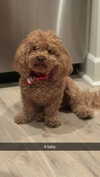 cclaire.bbear1 Altpins Profile Picture