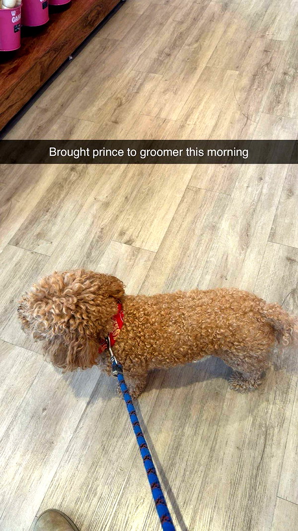 cclaire.bbear1 snapchat image archive image