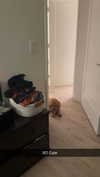 cclaire.bbear1 Altpins Profile Picture