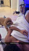 cclaire.bbear1 Altpins Profile Picture