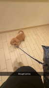 cclaire.bbear1 Altpins Profile Picture