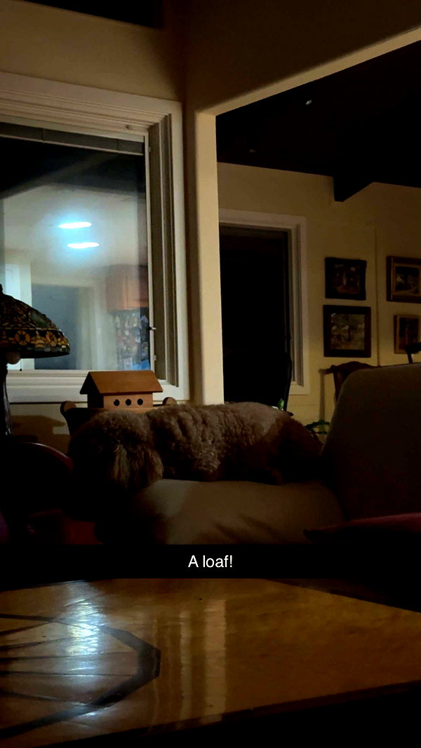 cclaire.bbear1 snapchat image archive image