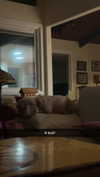 cclaire.bbear1 Altpins Profile Picture