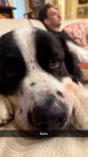 cclaire.bbear1 Altpins Profile Picture