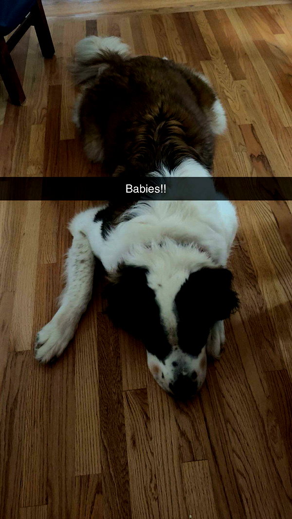 cclaire.bbear1 snapchat image archive image