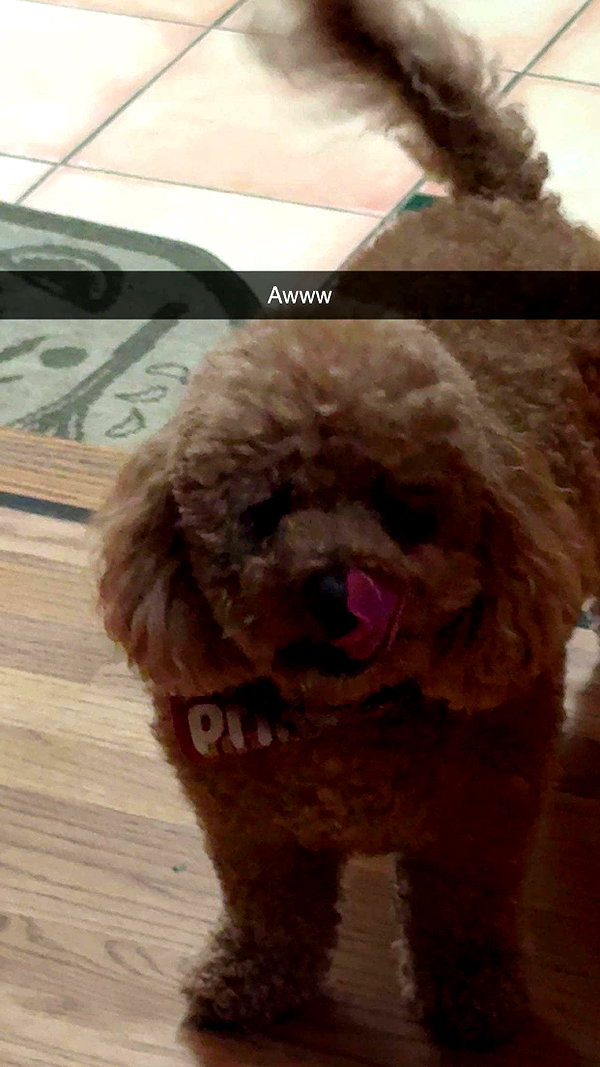 cclaire.bbear1 snapchat image archive image