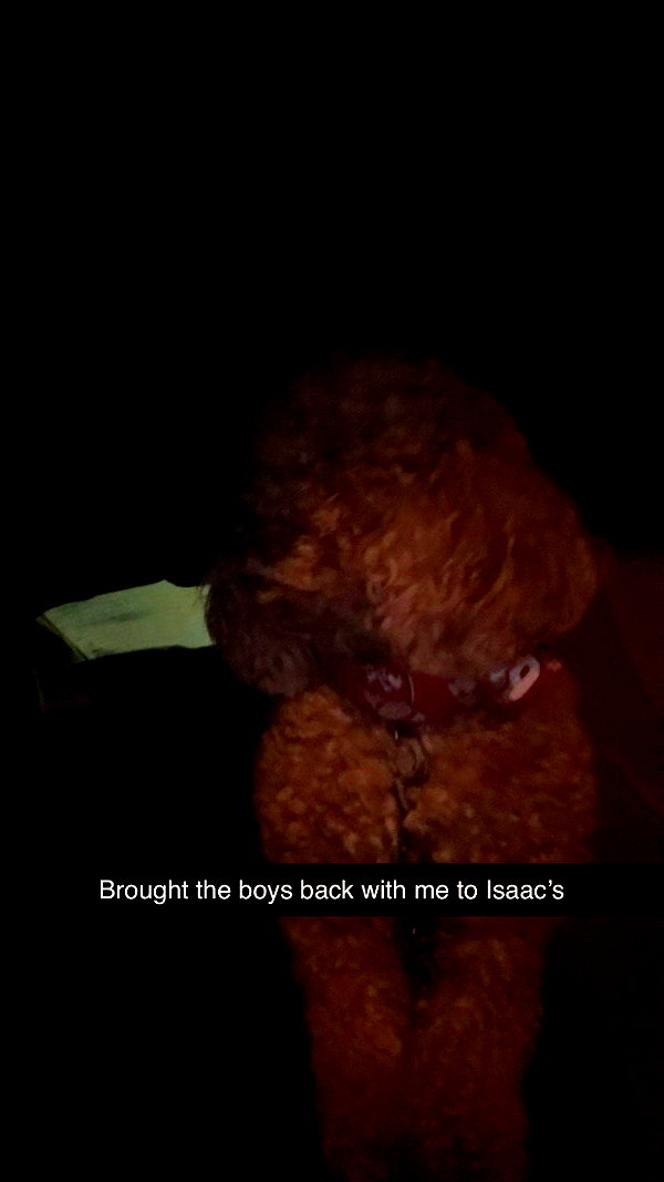 cclaire.bbear1 snapchat image archive image