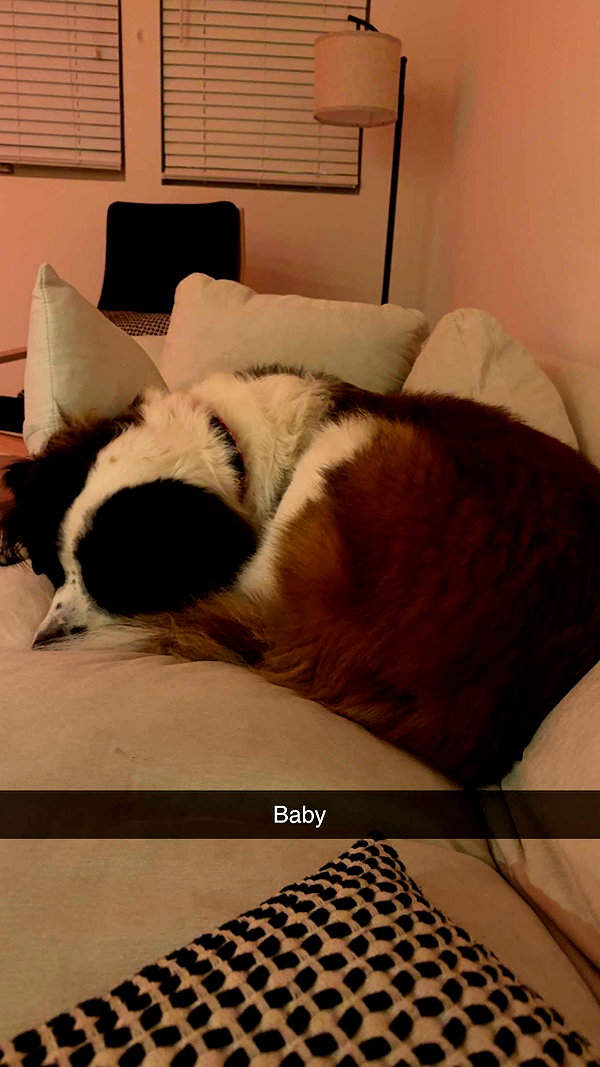 cclaire.bbear1 snapchat image archive image