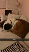 cclaire.bbear1 Altpins Profile Picture