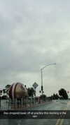 cclaire.bbear1 Altpins Profile Picture