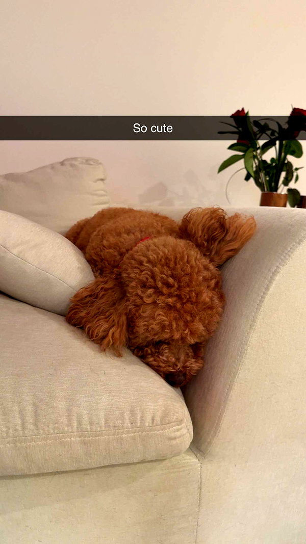 cclaire.bbear1 snapchat image archive image