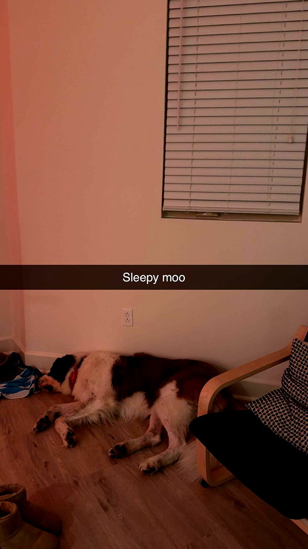 cclaire.bbear1 snapchat image archive image