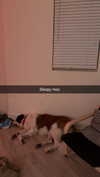 cclaire.bbear1 Altpins Profile Picture