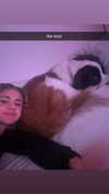 cclaire.bbear1 Altpins Profile Picture