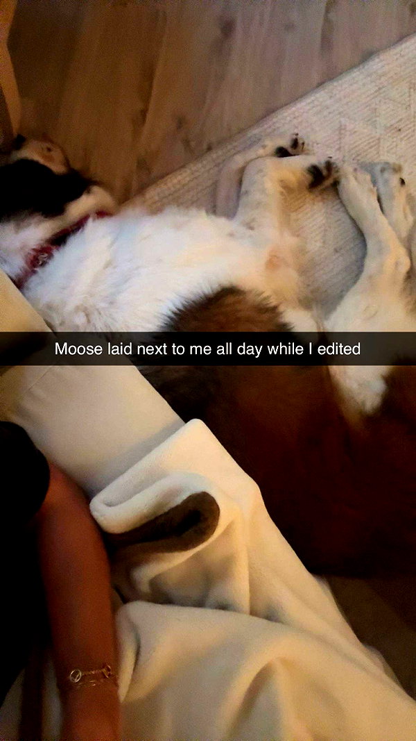 cclaire.bbear1 snapchat image archive image