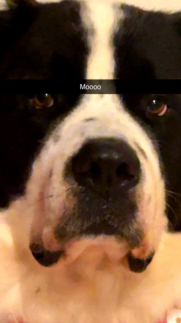 cclaire.bbear1 snapchat image archive image