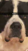 cclaire.bbear1 Altpins Profile Picture
