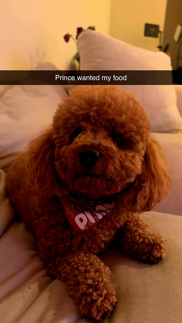 cclaire.bbear1 snapchat image archive image