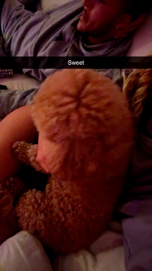 cclaire.bbear1 snapchat image archive image