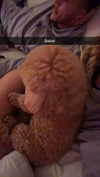 cclaire.bbear1 Altpins Profile Picture