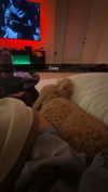 cclaire.bbear1 Altpins Profile Picture