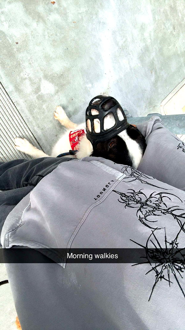 cclaire.bbear1 snapchat image archive image