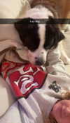 cclaire.bbear1 Altpins Profile Picture