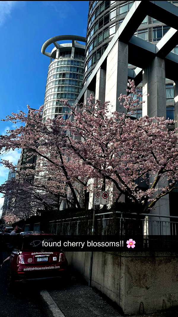 chantellemsia snapchat image archive image
