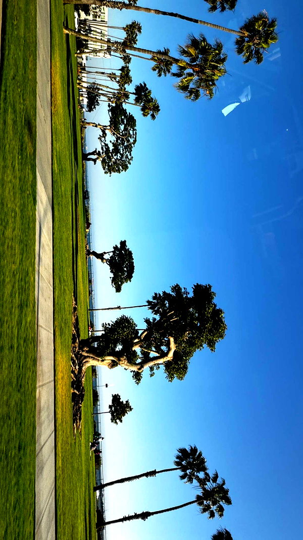 chantellemsia snapchat image archive image