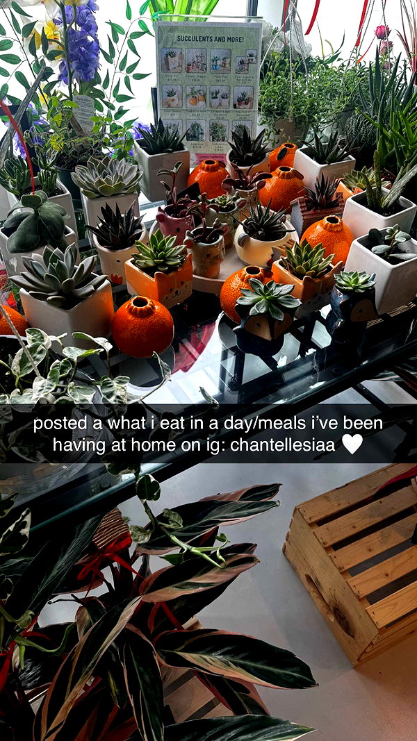 chantellemsia snapchat image archive image