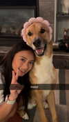 chantellemsia Altpins Profile Picture