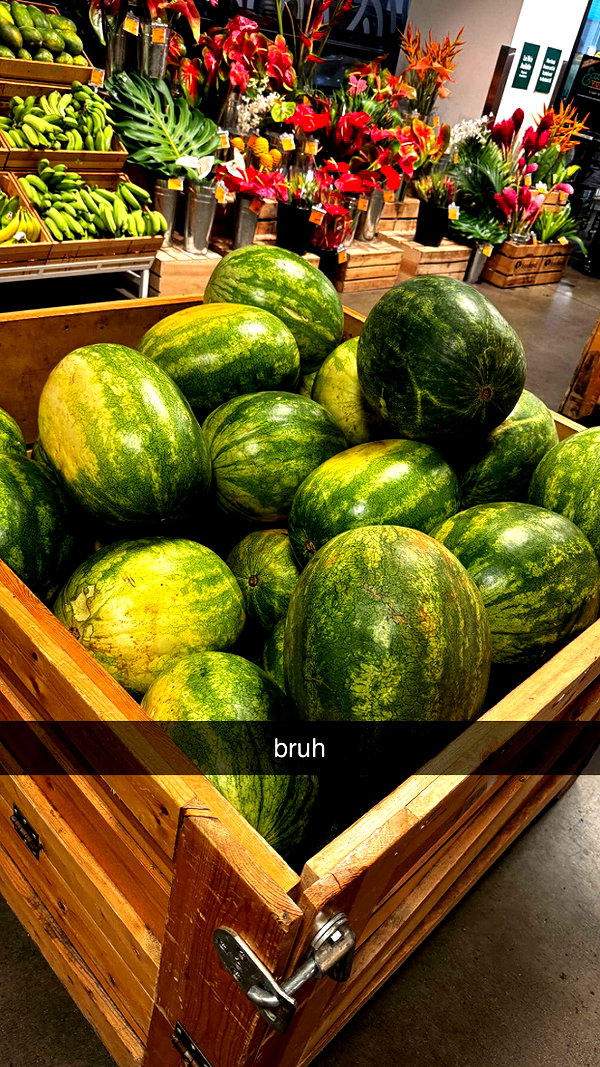 chantellemsia snapchat image archive image