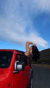 chantellemsia Altpins Profile Picture