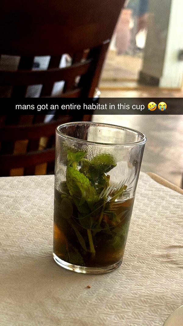 chantellemsia snapchat image archive image